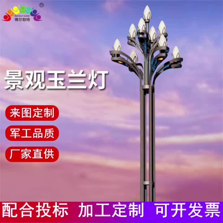 视频