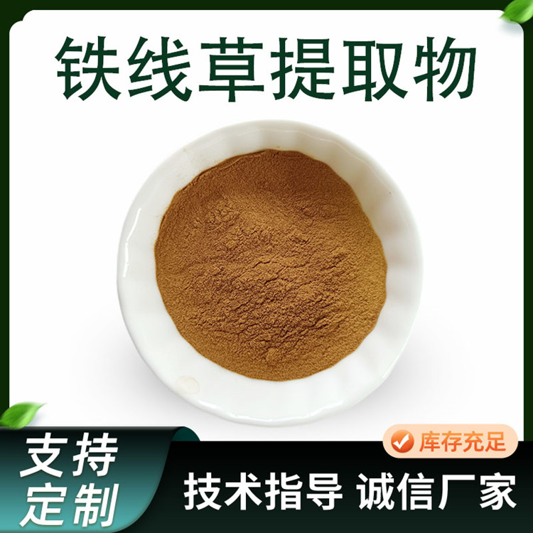铁线草提取物 10:1比例喷干粉 植物提取物原料 80-100目