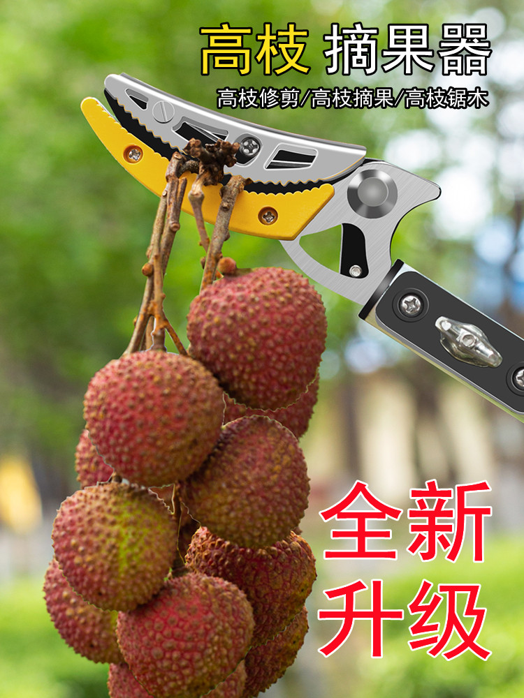 摘果神器伸缩杆高空采摘果子高枝剪摘水果荔枝杨梅龙眼摘果器剪刀