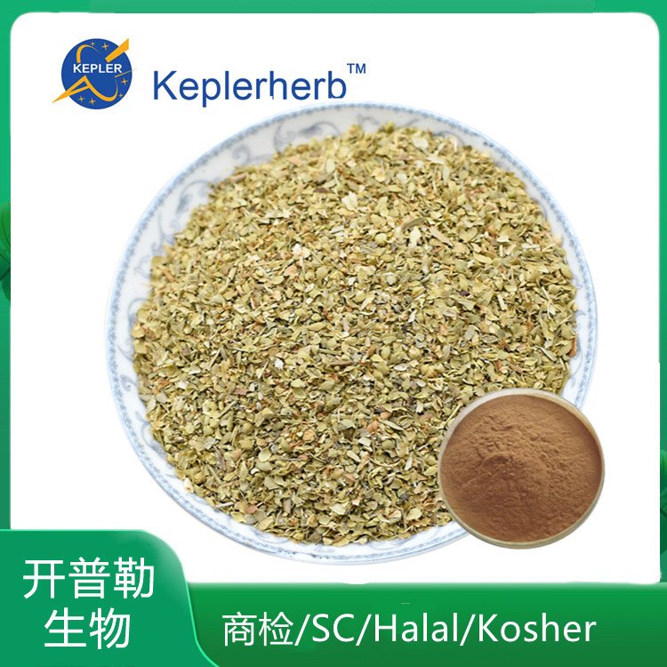 SC工厂直售 牛至草提取物 牛至草浓缩粉 披萨草提取物粉 KPL-0046