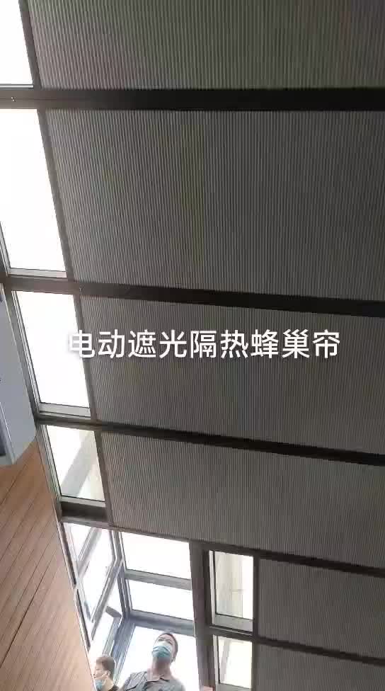 视频