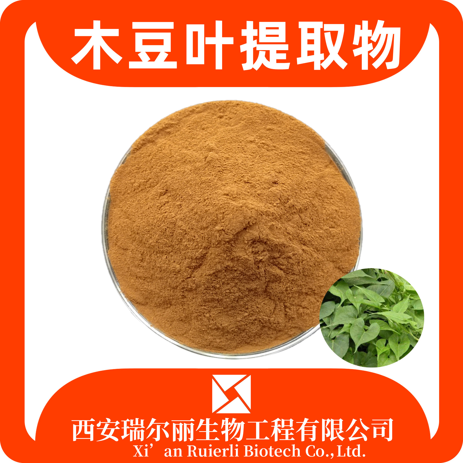 木豆叶提取物10：1 速溶浓缩粉 木豆叶浸膏 瑞尔丽生物 源头工厂