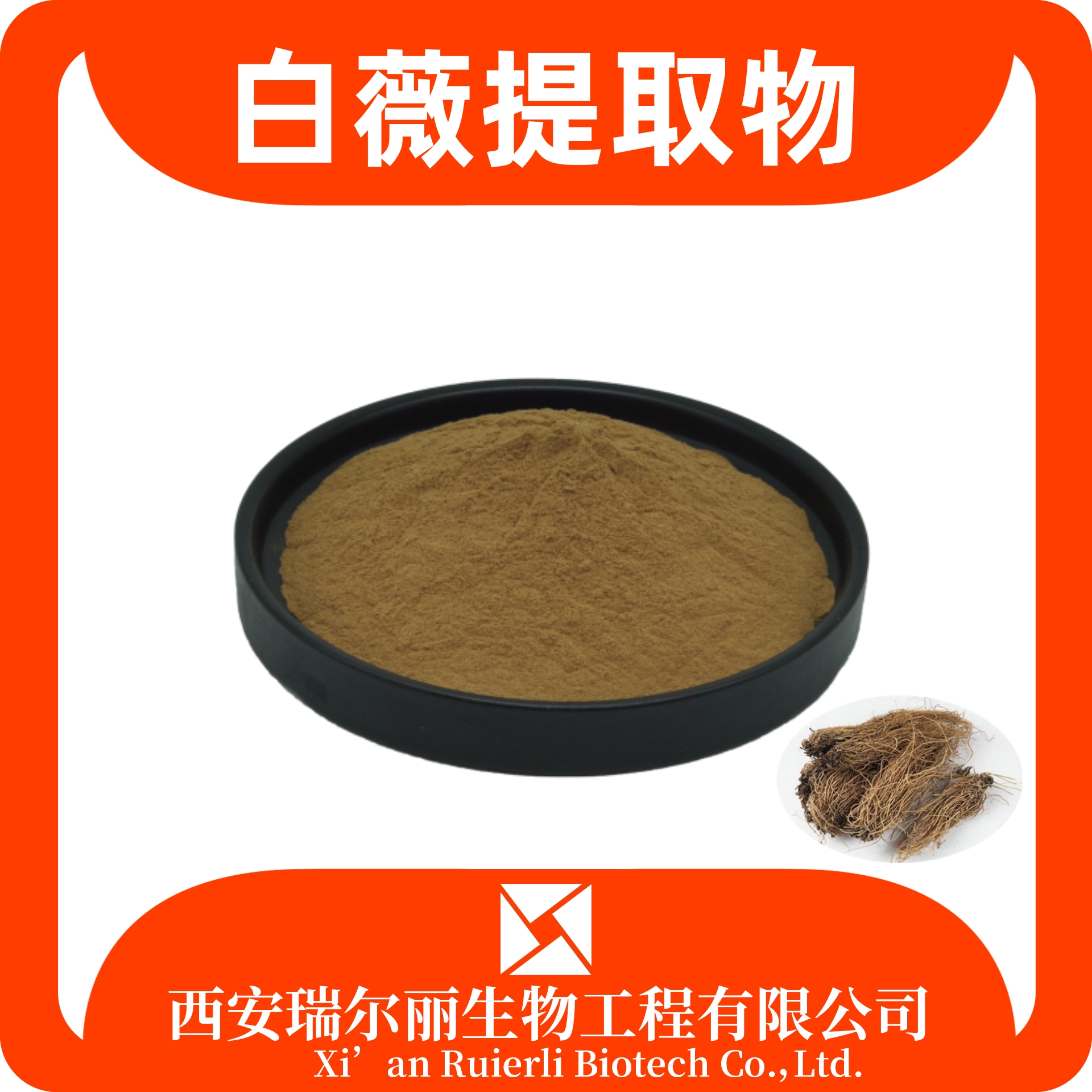 白薇提取物 水溶白薇粉 速溶浓缩粉 喷雾干燥 食品级 SC证 源头厂家
