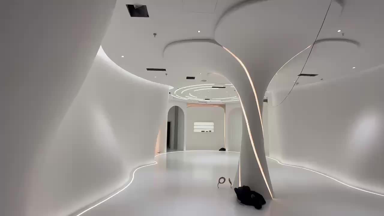 视频