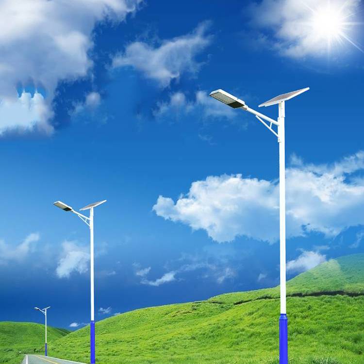 胜隆伟业 定制LED路灯 藏式太阳能灯 农村省道户外路灯 LED太阳能灯