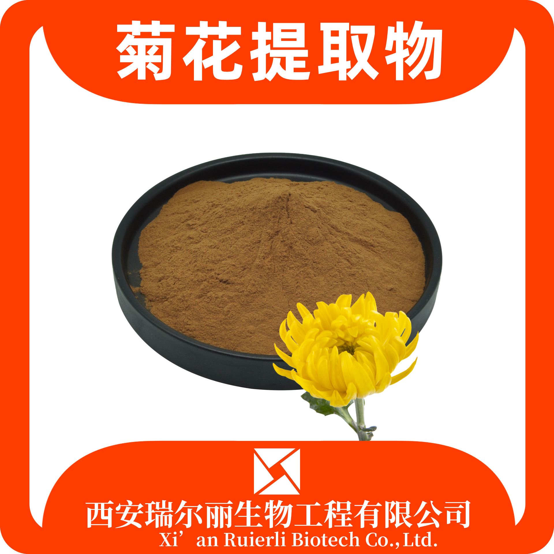 菊花提取物10：1 菊花粉 北野菊 苦薏粉 药食同源 瑞尔丽生物