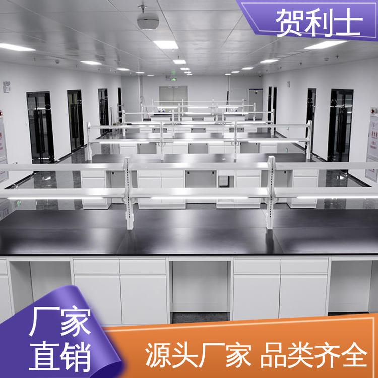 贺利士 耐腐蚀 全钢试验桌 一站式工程 保质保量 精致打造