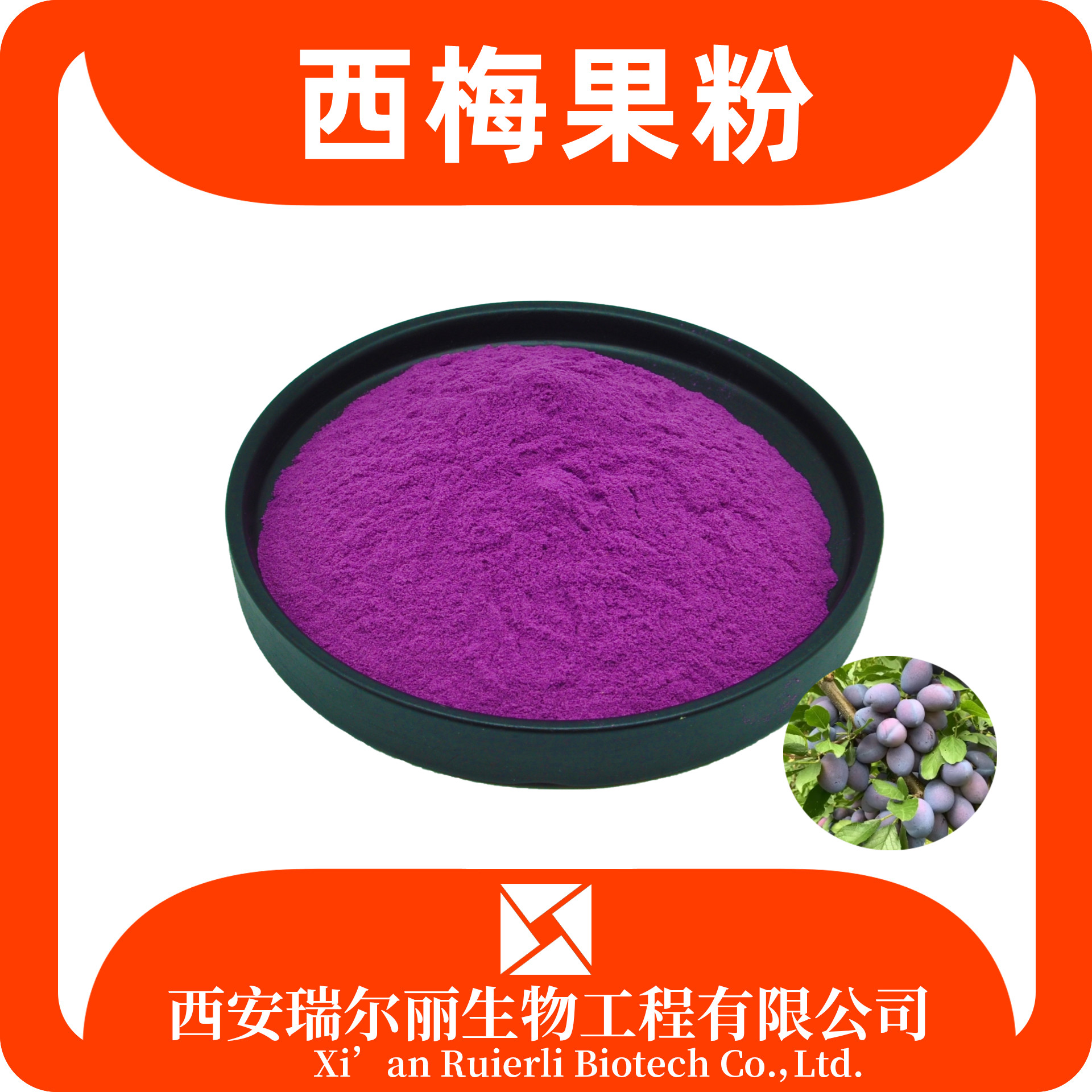 西梅果粉99% 西梅提取物 西梅果汁 食品级浓缩粉 瑞尔丽生物 现货速发