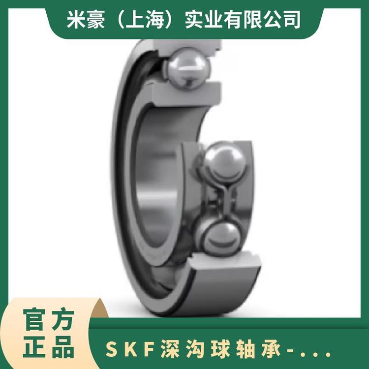 SKF深沟球轴承 斯凯孚 高速机械轴承 通用 原色 型号6002-2Z/C3WT