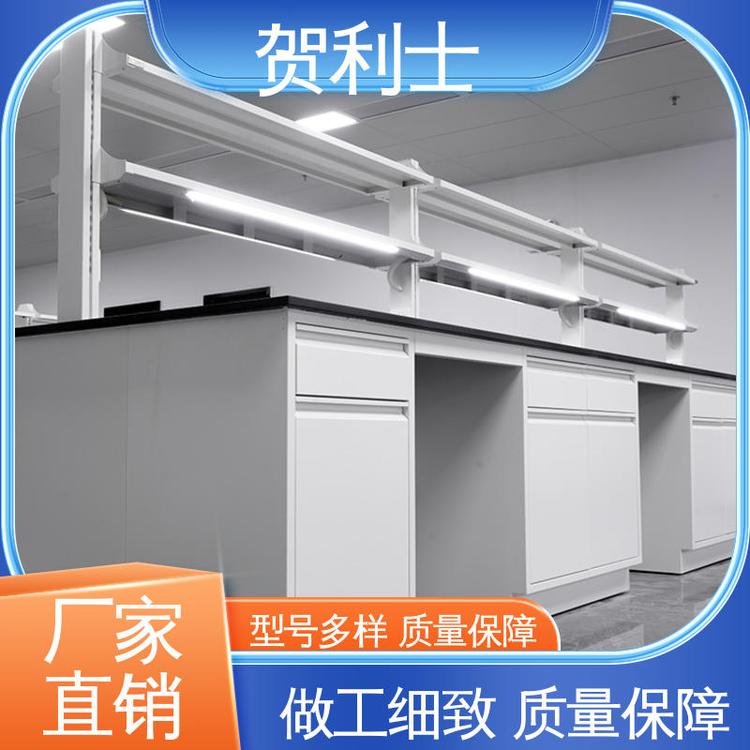 性能优越 耐腐蚀 服务优先 客户至上 全钢实验台 贺利士
