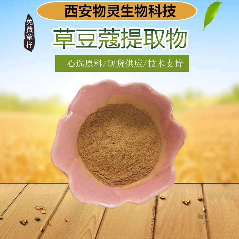 草豆蔻提取物 10:1水溶性比例浓缩 豆蔻仁粉 植物原料 多种规格