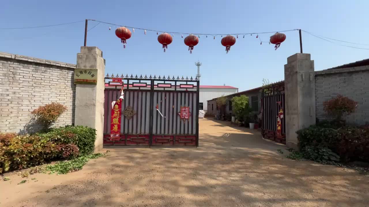 视频