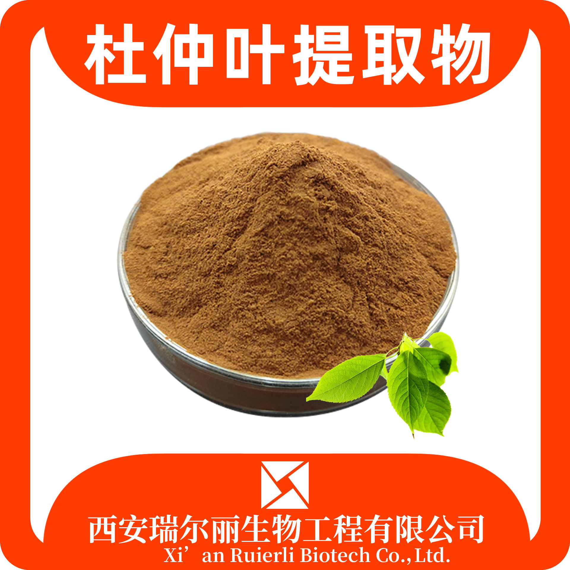 杜仲叶提取物10：1 杜仲叶粉 杜仲粉 绿原酸 瑞尔丽生物 源头厂家