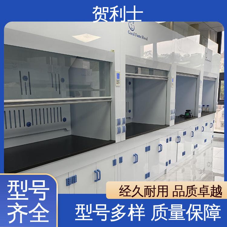 贺利士 硬度强 保质保量 精致打造 净气型通风柜 结构牢固可靠