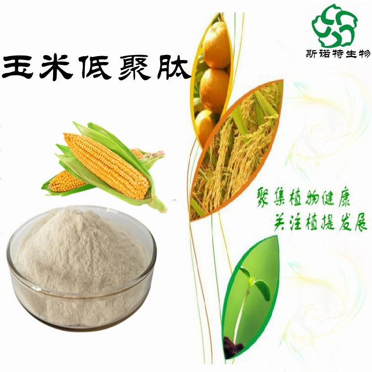 玉米低聚肽 300至700道尔顿 蛋白酶解 工艺成熟 常年供应