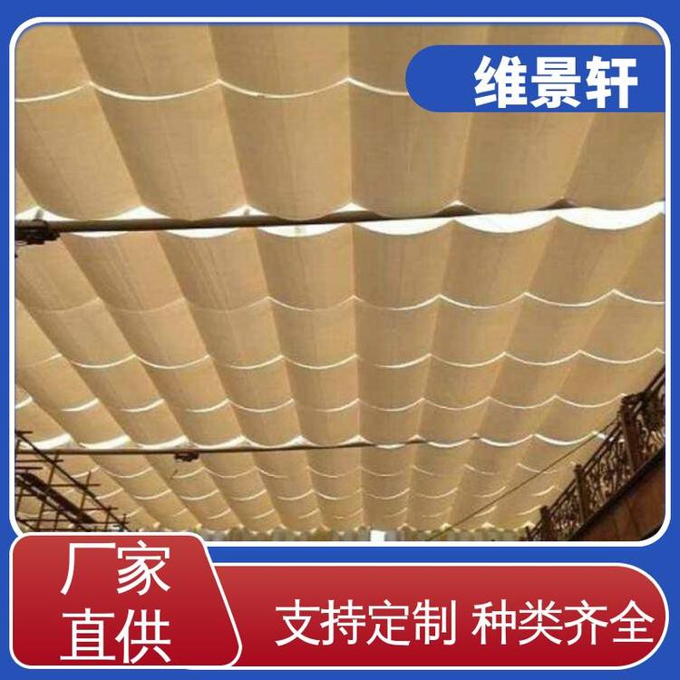 十年质保 庭院电动遮阳帘 遥控系统 玻璃顶天棚帘 维景轩