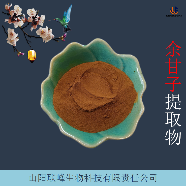 余甘子提取物 水溶性油柑粉 果汁粉 现货 1000g起