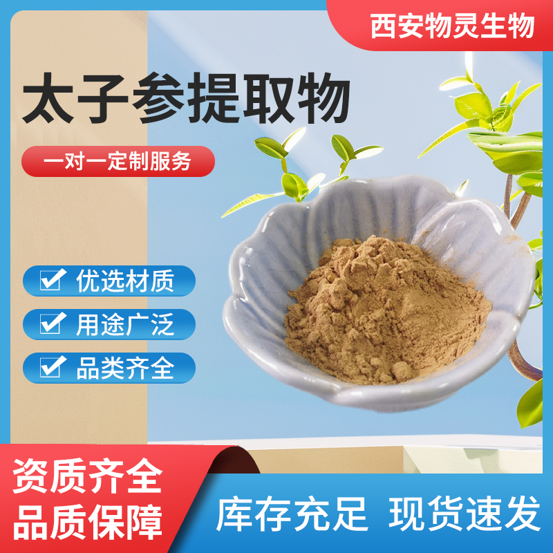 太子参提取物10:1 太子参皂甙 太子参浓缩粉 物灵生物