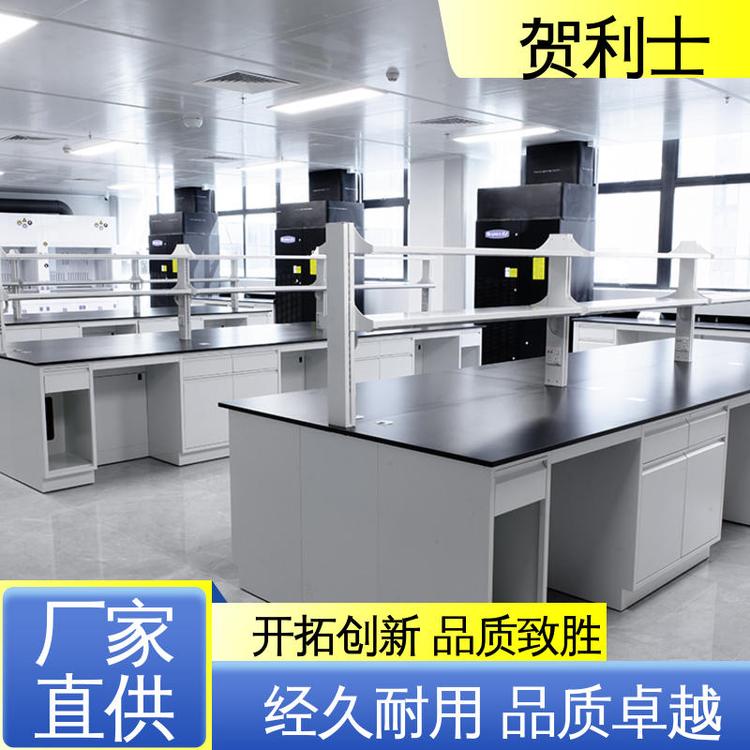 科研院校制药 全钢中央工作实验台 坚实耐用 匠心打造 耐腐蚀 贺利士