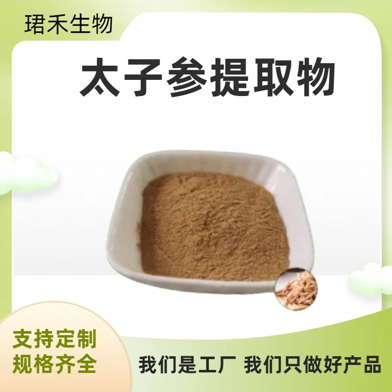 太子参提取物 含多糖 植物提取物 孩儿参 童参 多规格可定制