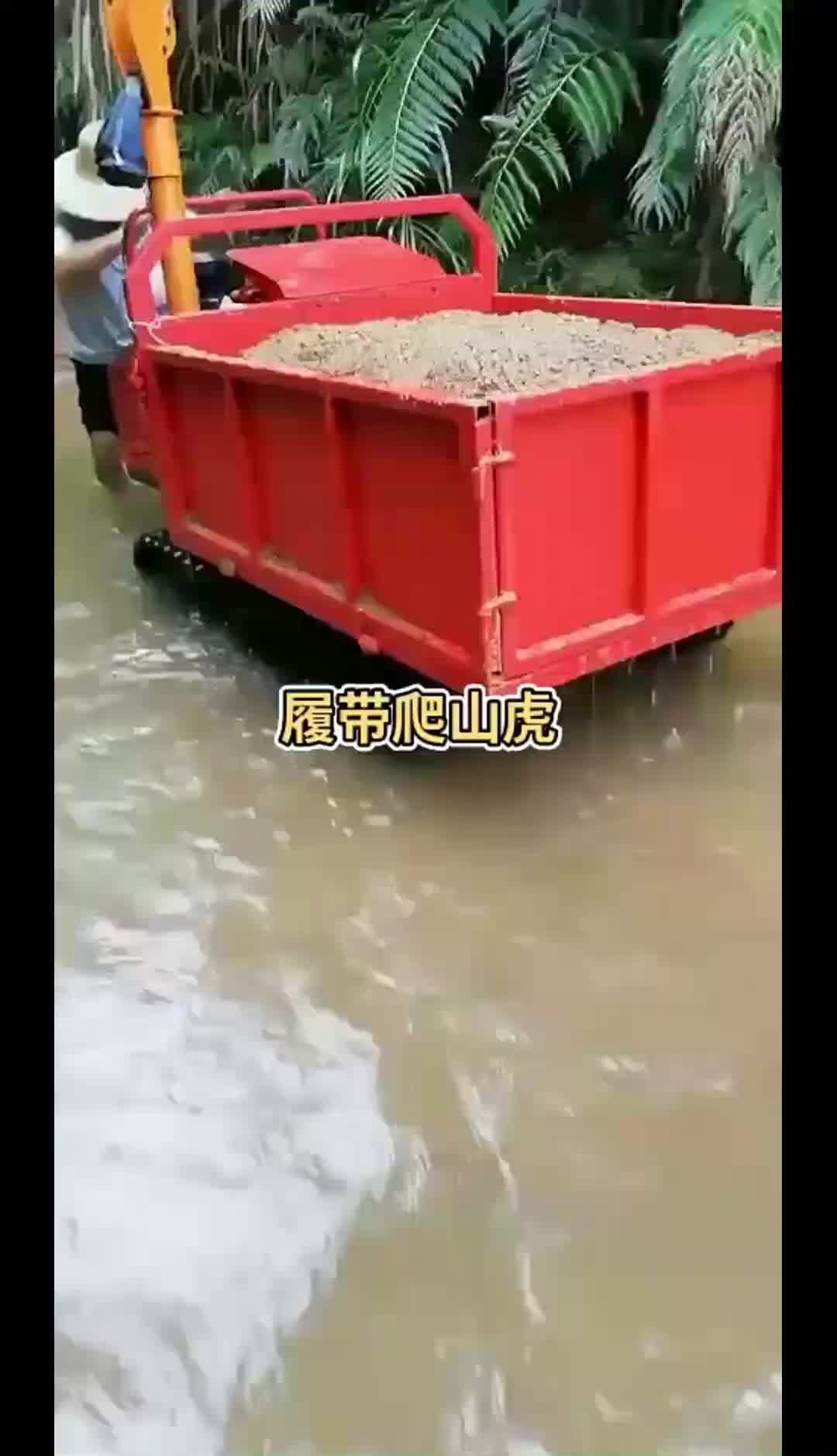 视频