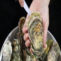 蚝先生高压锅蒸生蚝