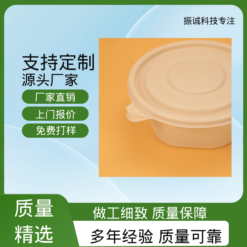 振诚科技 符合限塑标准餐盒 可冷冻 带盖 家庭套装