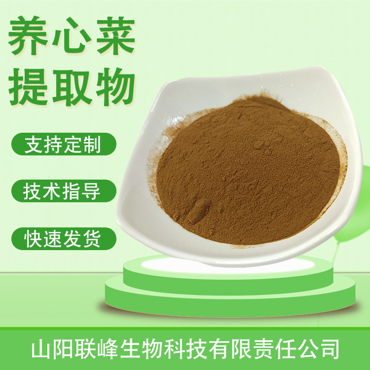 养心菜提取物 水溶救心菜粉 速溶浓缩浸膏粉 喷雾干燥 食品级