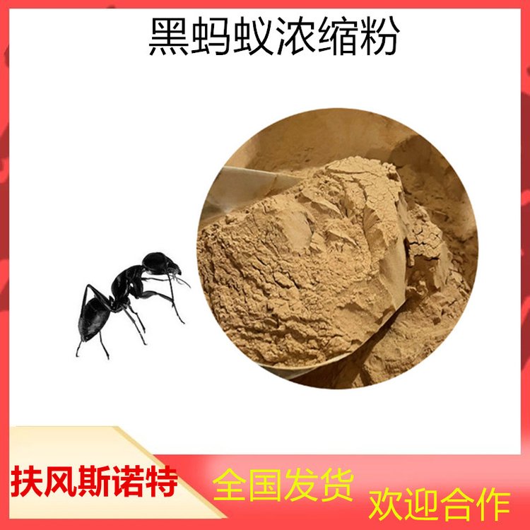黑蚂蚁浓缩粉 喷雾干燥 精细粉末 斯诺特 支持全国发货