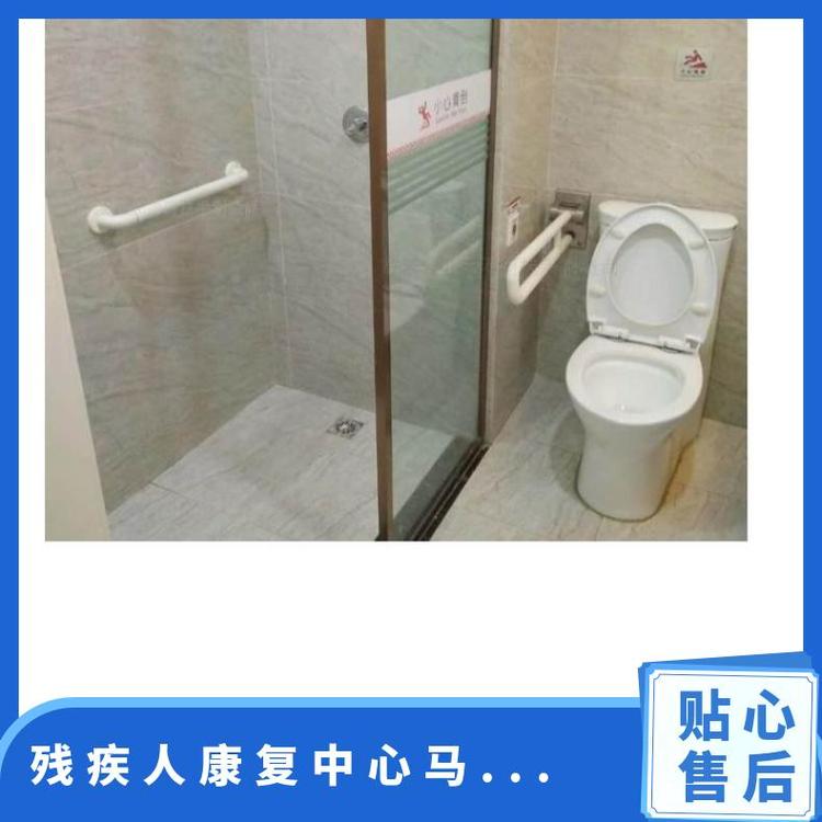 方泰马桶扶手尼龙不锈钢材质450*700mm可定制