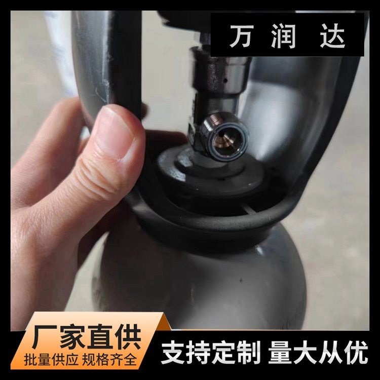 检验标准气体厂家 湖 北武汉 电力工业标准气 快速配货 万润达