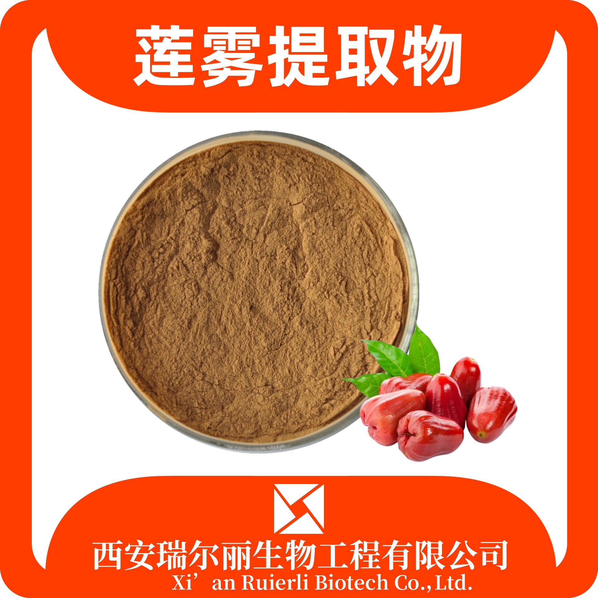 莲雾提取物 速溶莲雾粉 食品原料 速溶浓缩 喷雾干燥 瑞尔丽生物