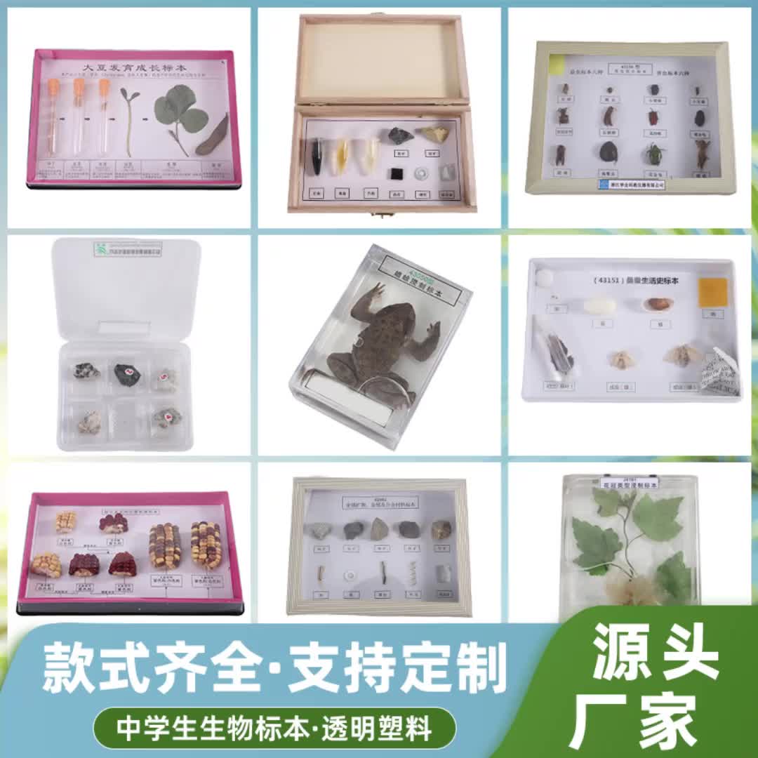 视频