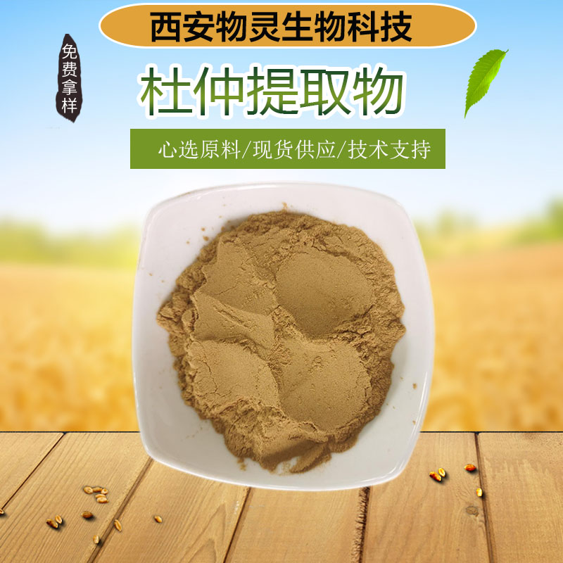 杜仲提取物 10:1 20:1浓缩萃取 杜仲皮水溶性粉末 物灵生物 植物原料