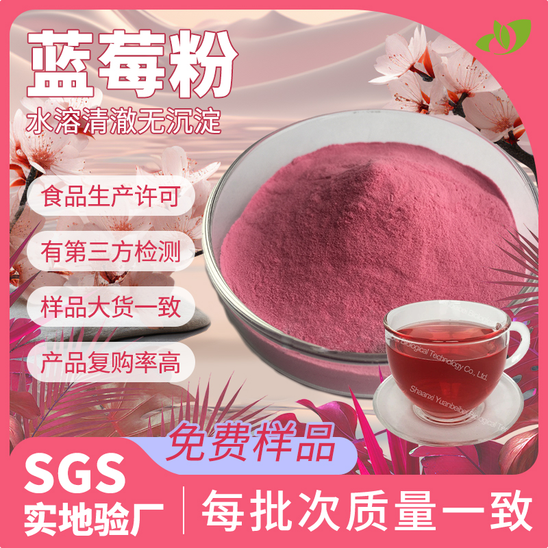 工厂包邮蓝莓粉食品级蓝莓果粉水溶压片糖果原料蓝莓提取物散装