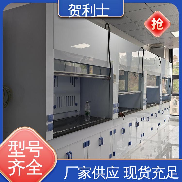 耐酸碱 pp材质通风柜 服务优先 客户至上 节能环保 贺利士