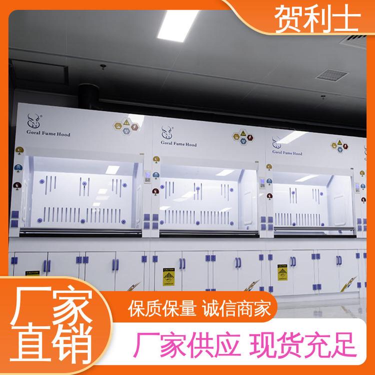 耐高温 落地型通风柜 服务优先 客户至上 结构牢固可靠 贺利士