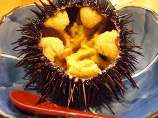 海胆小馆