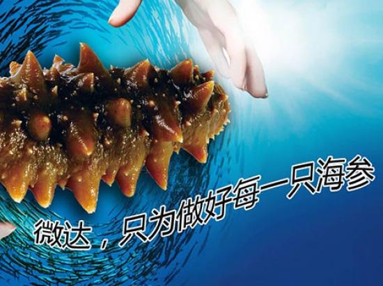 微达海参