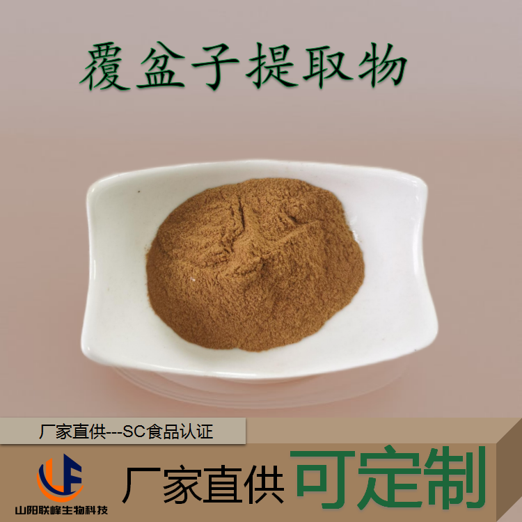 覆盆子提取物 10:1 浓缩果汁粉 浸膏 比例粉 固体饮料原料