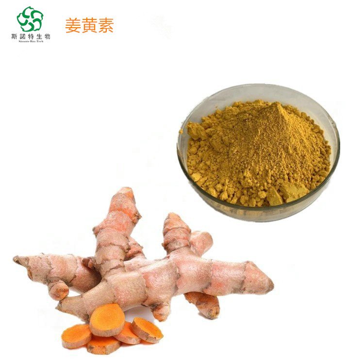 斯诺特 SC厂 姜黄素 含量95% 植物萃取 精细粉末 包运价
