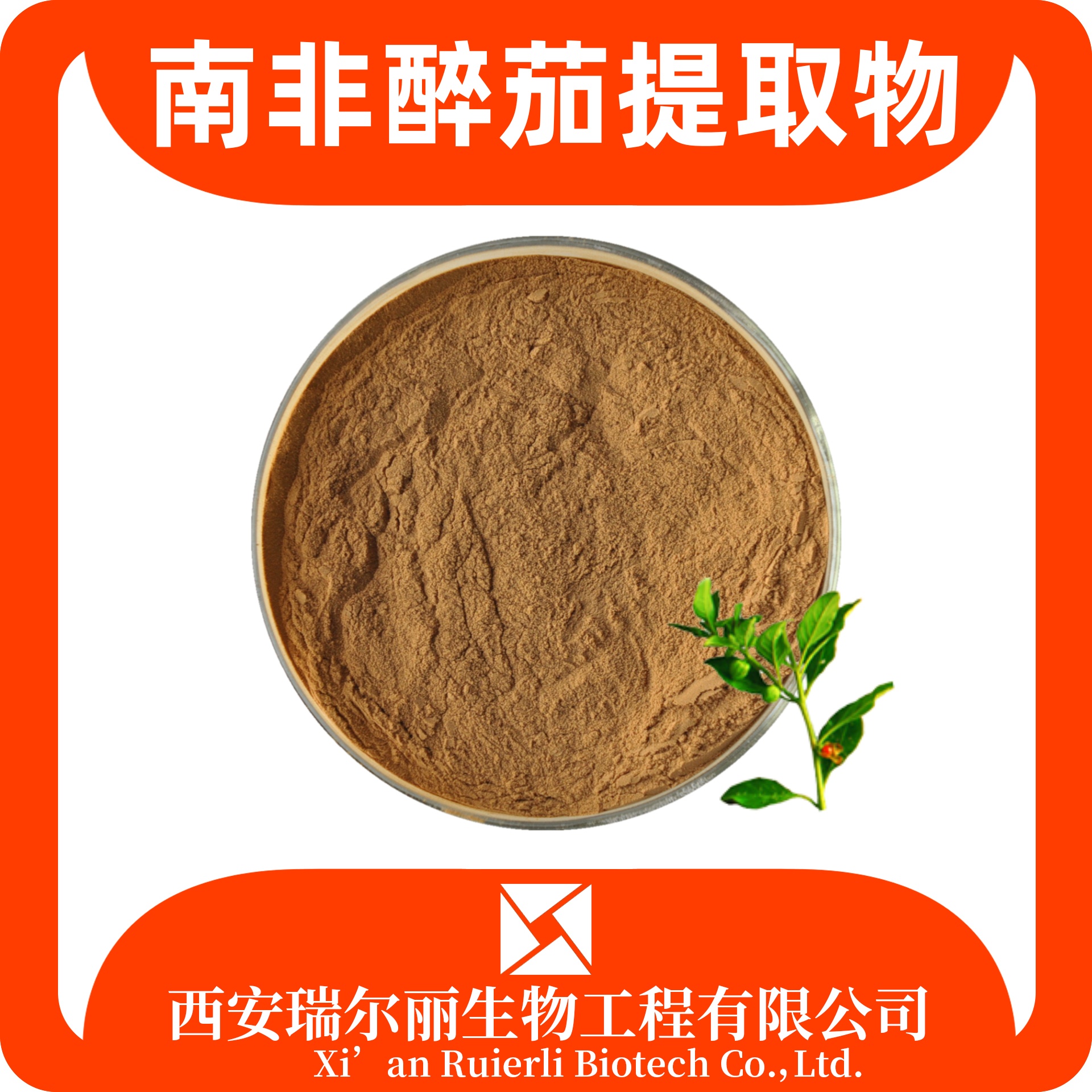 南非醉茄提取物 醉茄内脂 印度人参粉 食品级可定制 源头工厂