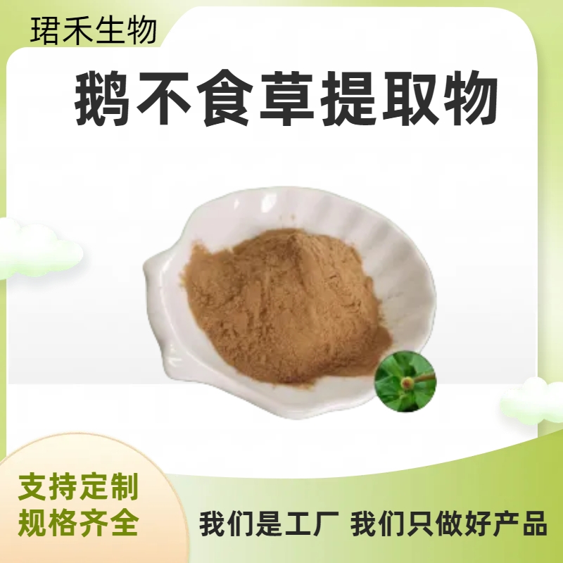 鹅不食草提取物 水溶粉 喷雾干燥 植物提取 浸膏 可定制规格 可开发票