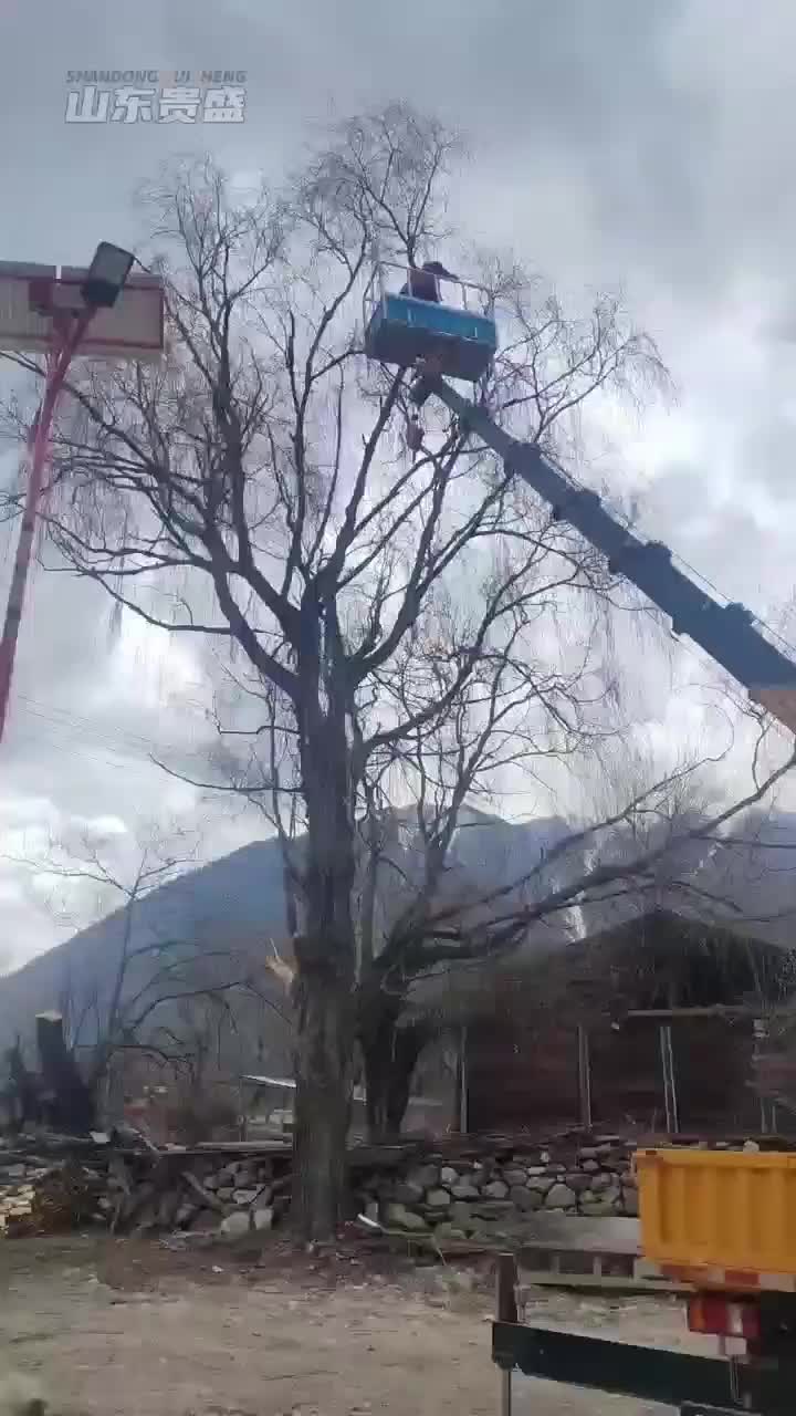 视频