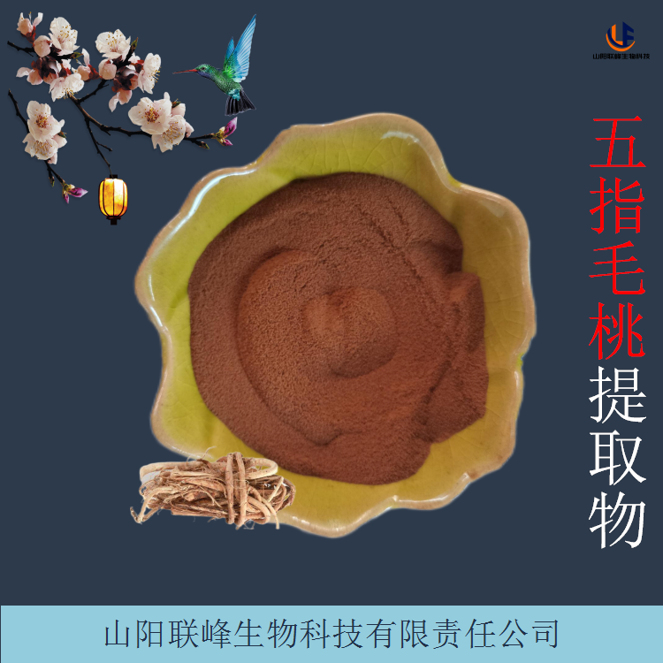 五指毛桃提取物 水溶性裂掌榕根喷雾干燥粉 浓缩粉 现货