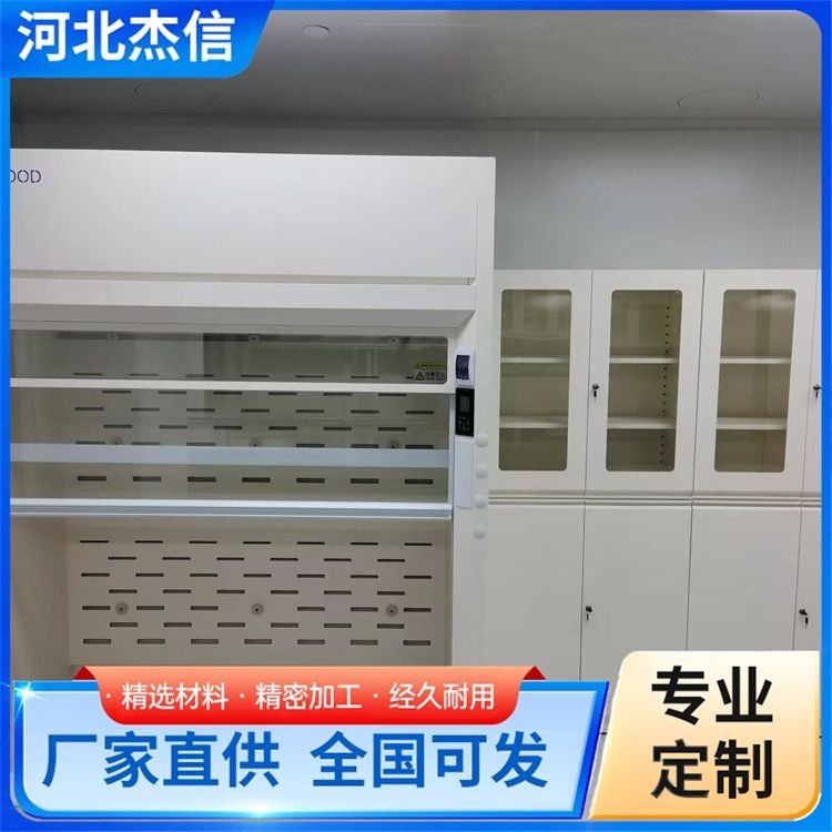 独立通风柜 物理化学试验通风橱 类型齐全 品质保证