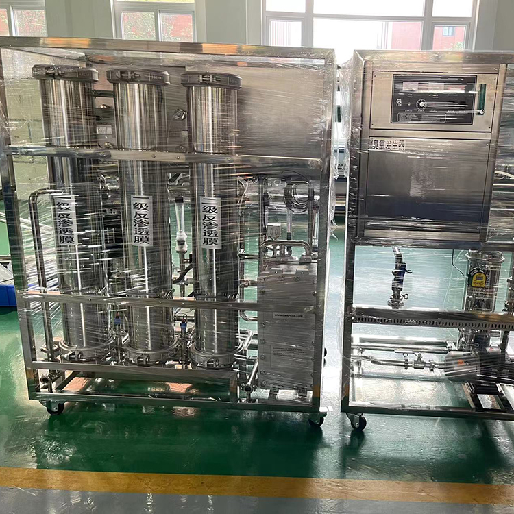 纯水机 超纯水设备 EDI+双级反渗透 大型生产用纯水系统 源头厂家