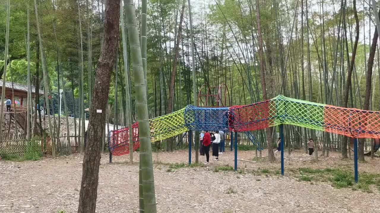 视频