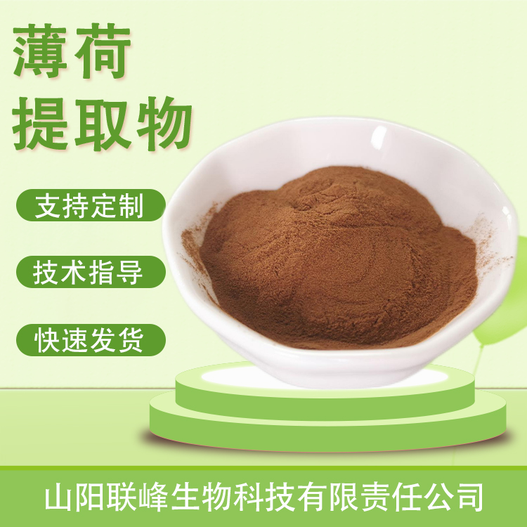 薄荷提取物 10：1水溶浓缩粉 浸膏食品原料 植物萃取喷雾干燥