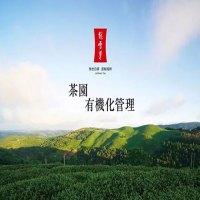 绿雪芽白茶